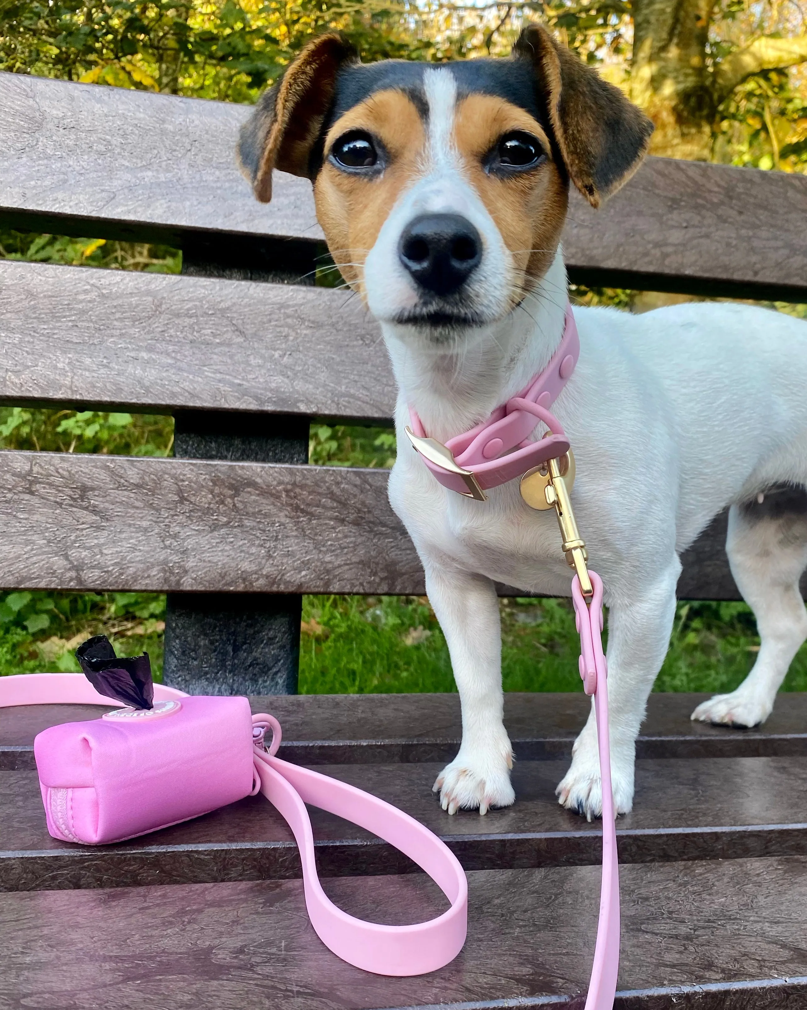 Candy floss Pink 'All Weather' Poop Bag Holder