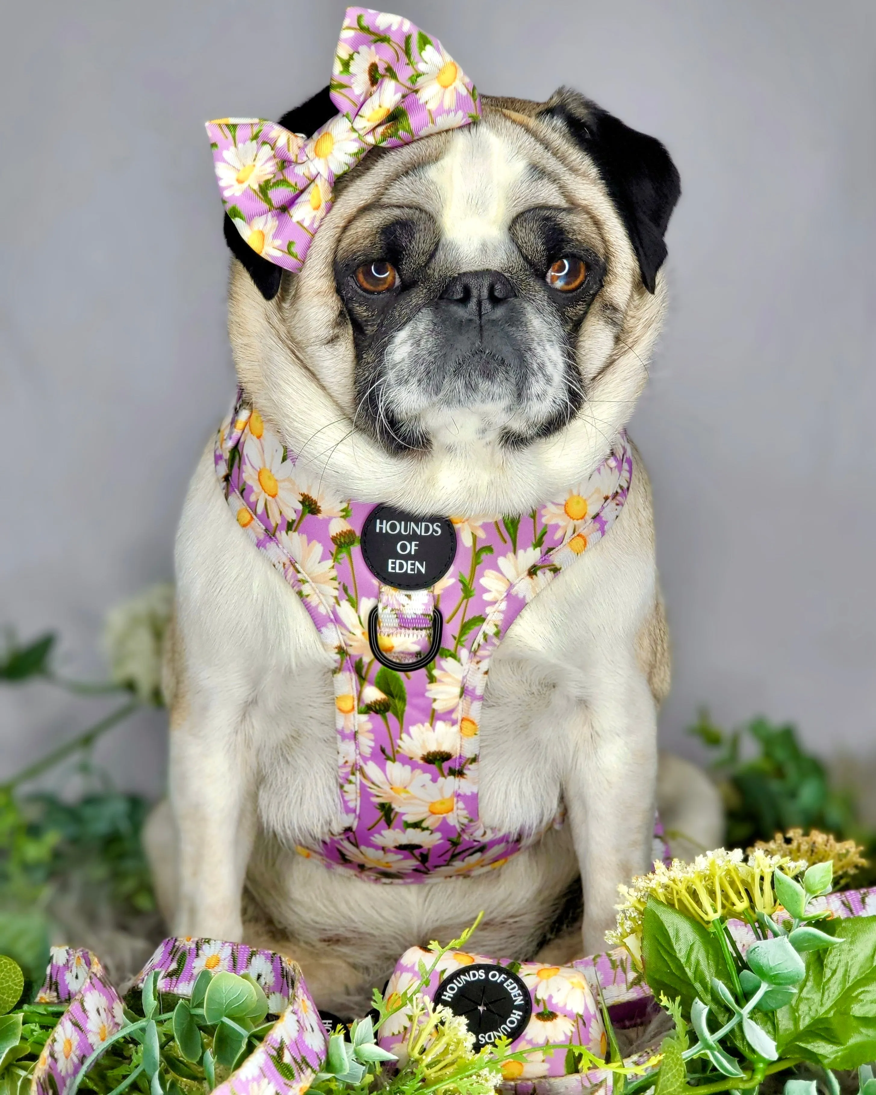 Daisy Dreams Design Poop Bag Holder