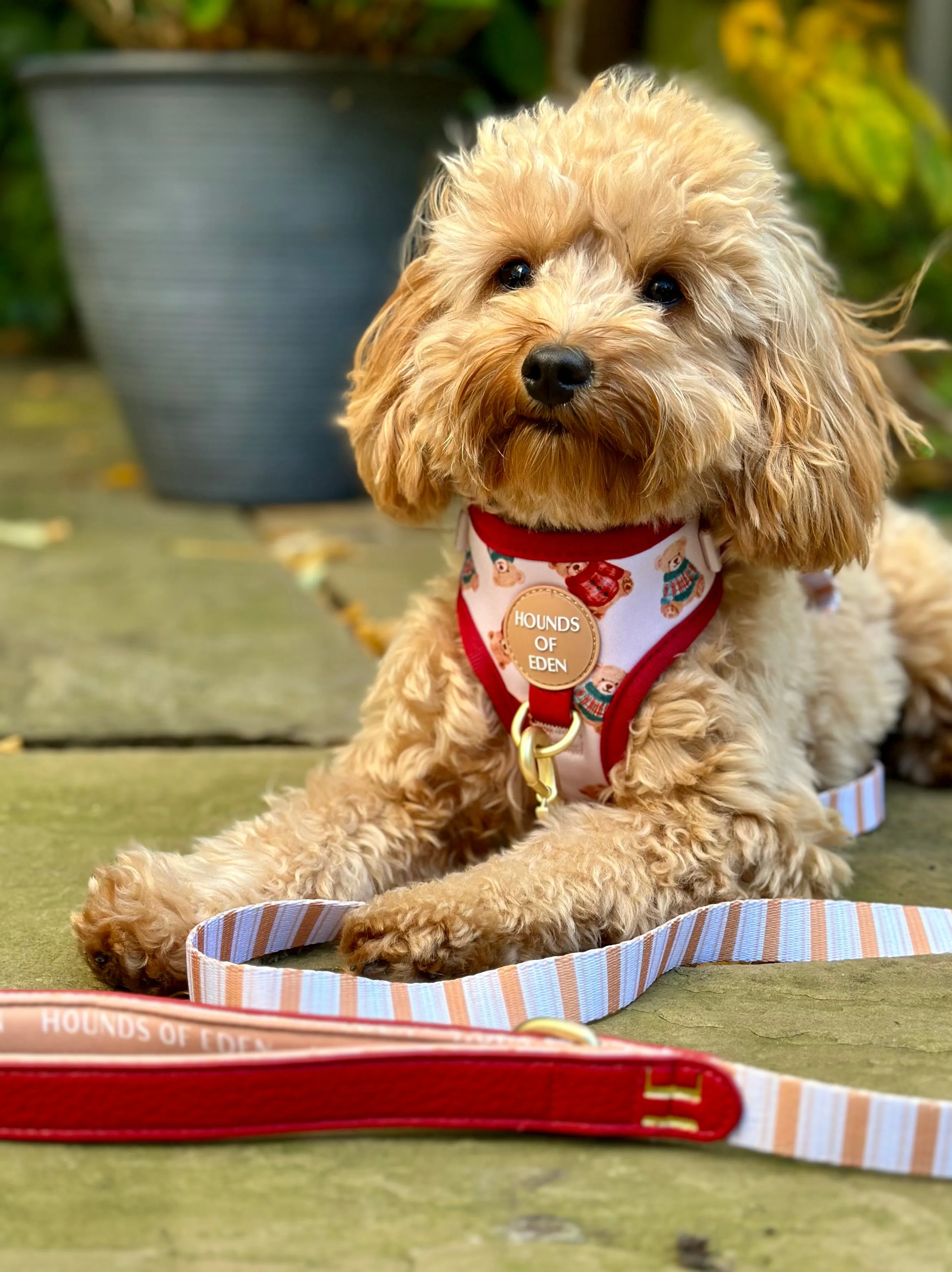 Harrold   Hattie Bears Poop Bag Holder
