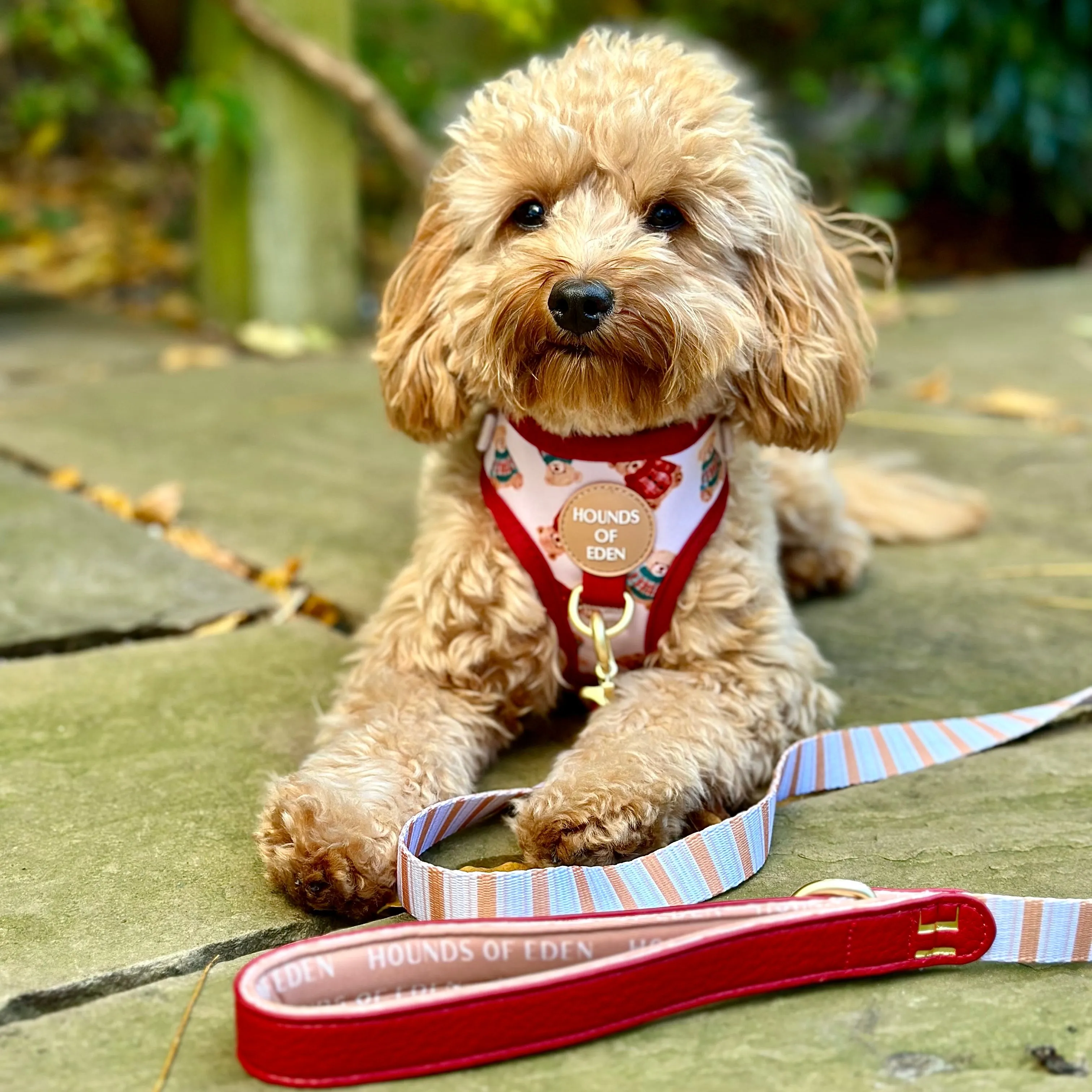 Harrold   Hattie Bears Poop Bag Holder