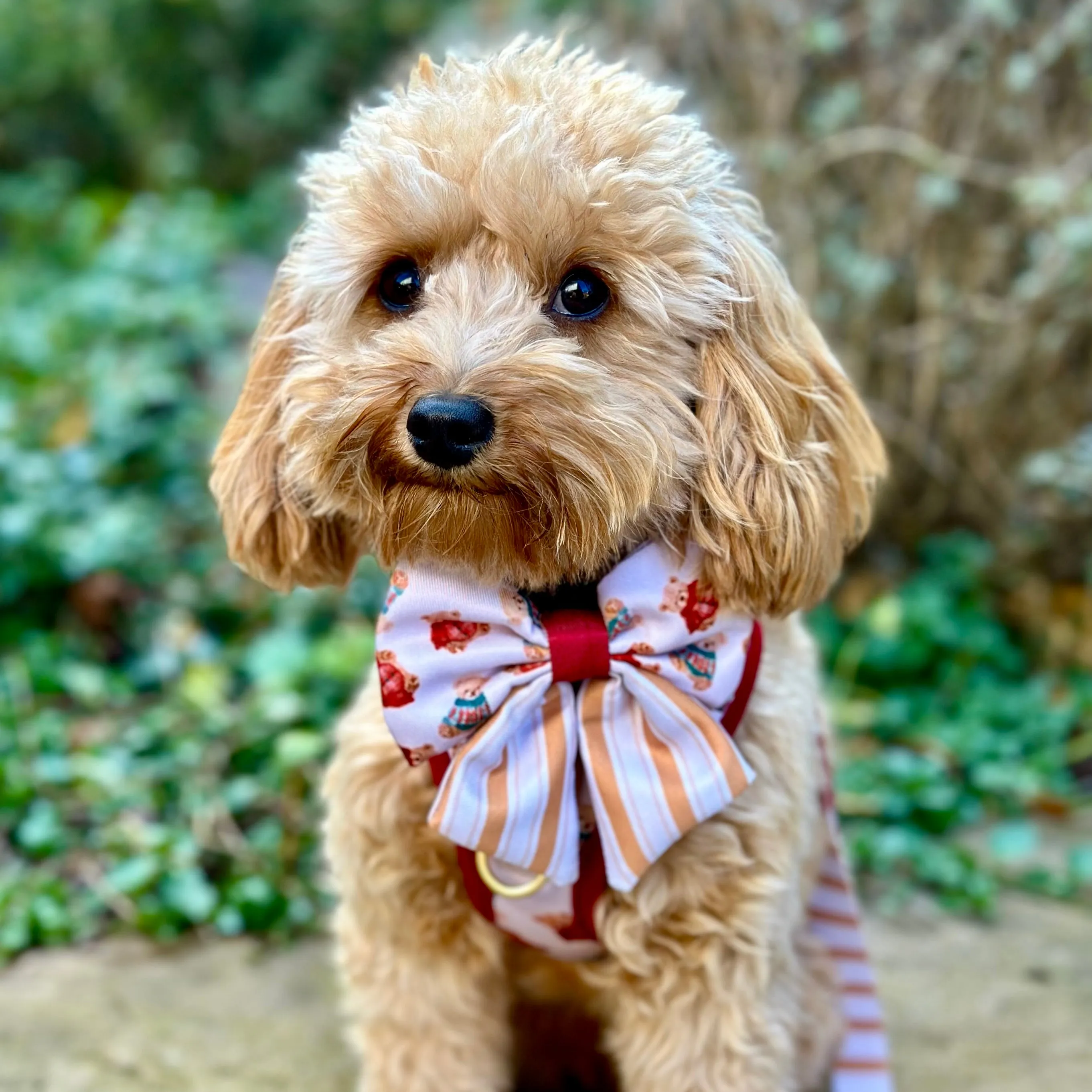 Harrold   Hattie Bears Poop Bag Holder