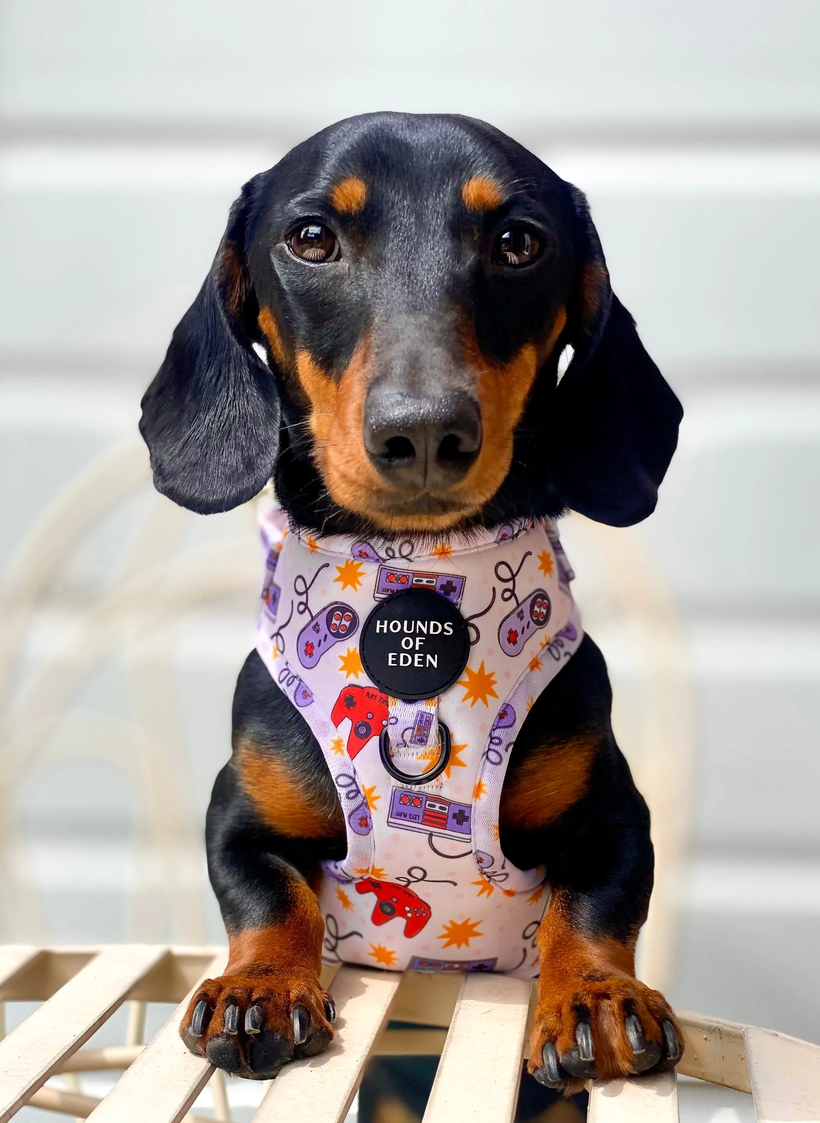 Nintendawg Design Poop Bag Holder