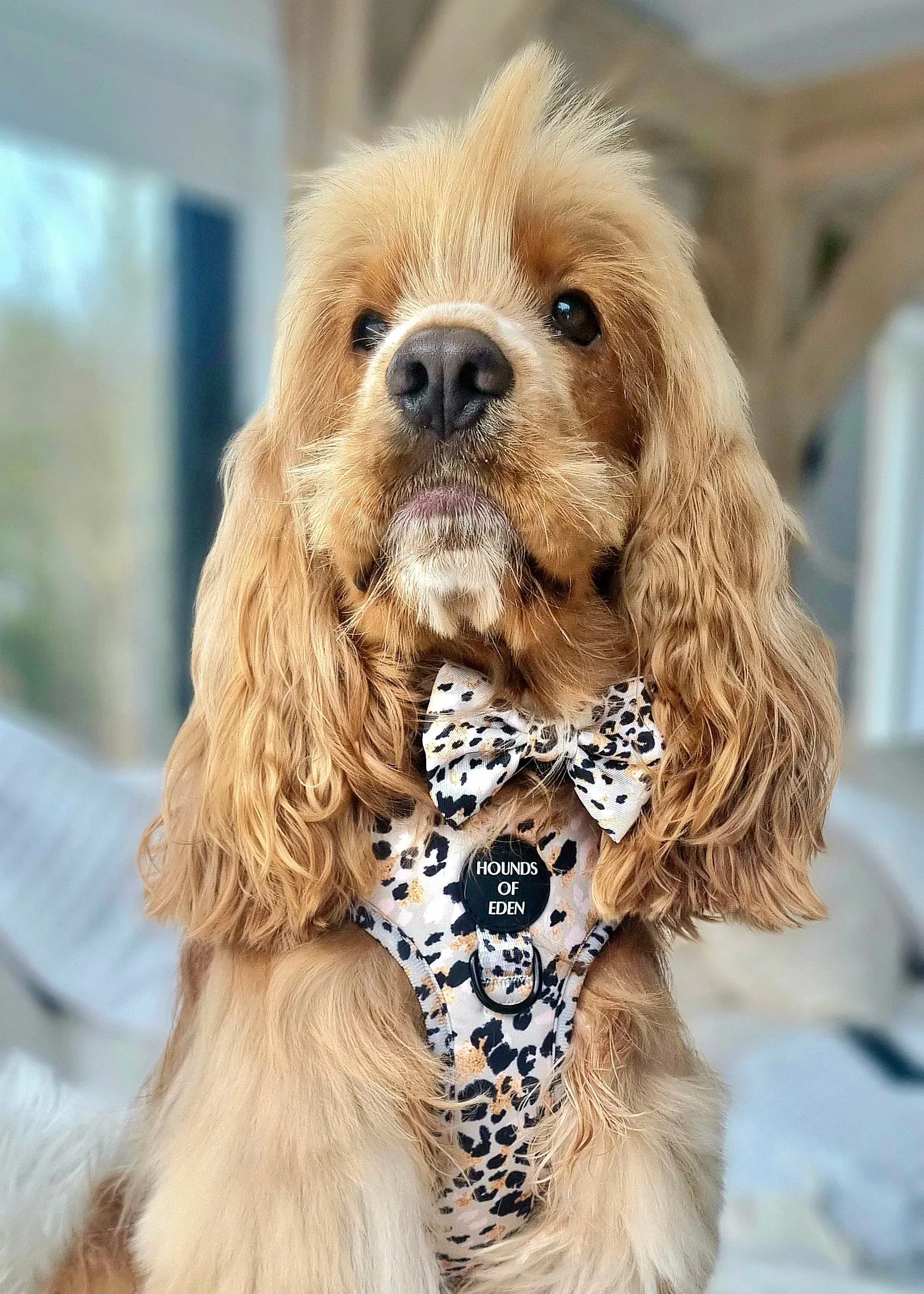 Sage Leopard Design Poop Bag Holder