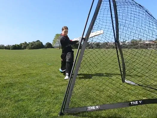 THE V PRO 2.0